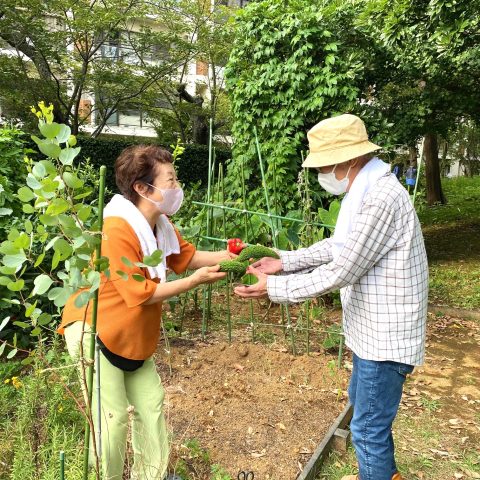 菜園サークル