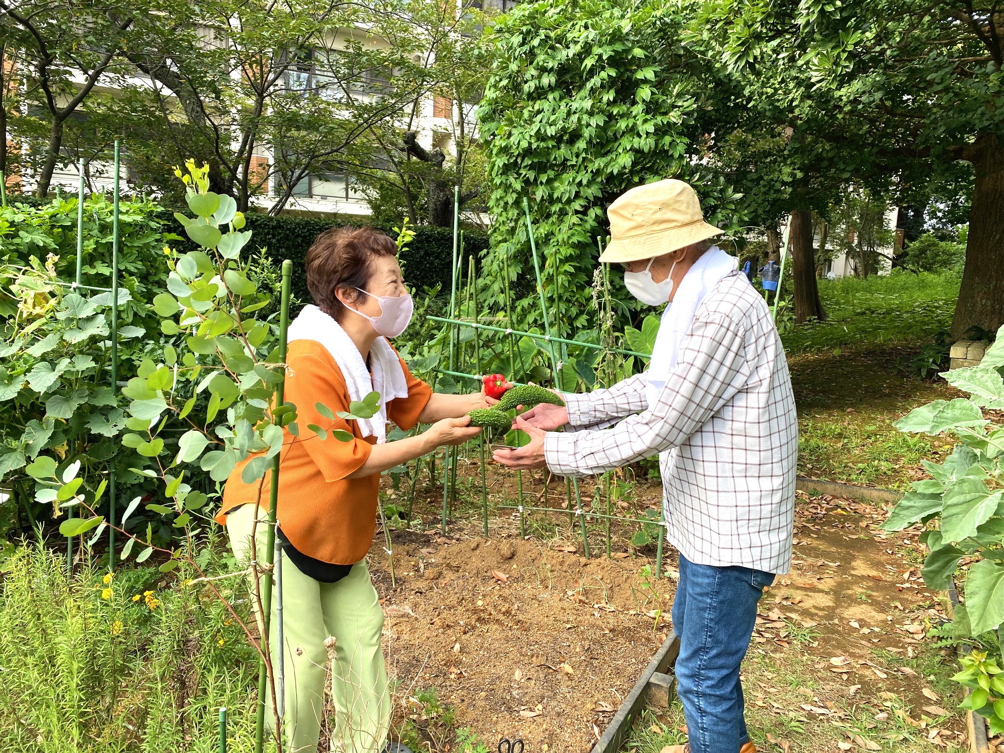 菜園サークル