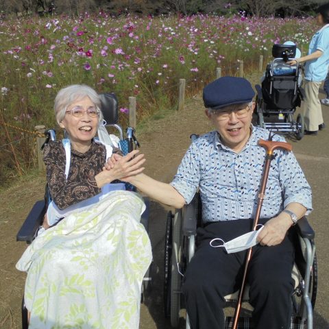 紅葉の公園を散歩